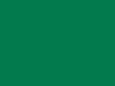 85 см № 258 яр. зеленый спираль (G) сорт-2 - купить в Междуреченске. Цена: 16.97 руб.