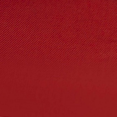 Ткань подкладочная Таффета 19-1656, антист., 53 гр/м2, шир.150см, цвет вишня - купить в Междуреченске. Цена 63 руб.