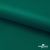 Ткань подкладочная Таффета, 19-5420, 53 г/м2, антистатик, шир. 150 см, вечнозеленый - купить в Междуреченске. Цена 57.16 руб.