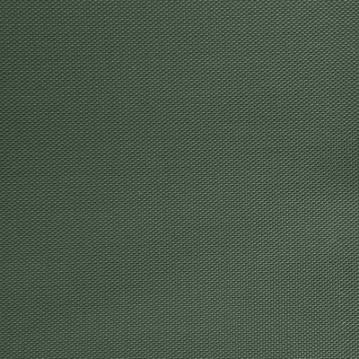 Оксфорд (Oxford) 240D 19-5917, PU/WR, 115 гр/м2, шир.150см, цвет т.зелёный - купить в Междуреченске. Цена 152.54 руб.
