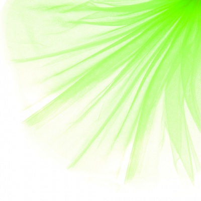 Фатин матовый 16-142, 12 гр/м2, шир.300см, цвет неон.зелёный - купить в Междуреченске. Цена 100.92 руб.