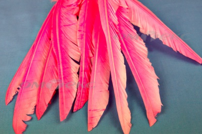 Декоративный Пучок из перьев, перо 25см/розовый - купить в Междуреченске. Цена: 14.40 руб.