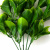 Трава искусственная -1, шт (эвкалипт лист 32 см/8 см)				 - купить в Междуреченске. Цена: 169.93 руб.