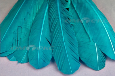 Декоративный Пучок из перьев, перо 24см/голубой - купить в Междуреченске. Цена: 12.19 руб.