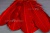 Декоративный Пучок из перьев, перо 23см/красный - купить в Междуреченске. Цена: 11.16 руб.
