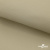 Ткань подкладочная TWILL 230T 14-1108, беж светлый 100% полиэстер,66 г/м2, шир.150 cм - купить в Междуреченске. Цена 90.59 руб.