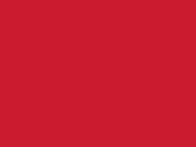 Сетка подкладочная красный, 60г/м2 (10 м/кг) - купить в Междуреченске. Цена 885.73 руб.