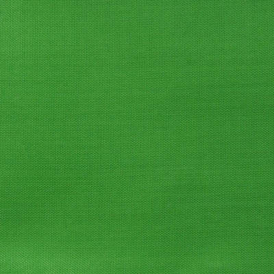 Ткань подкладочная Таффета 17-6153, 48 гр/м2, шир.150см, цвет трава - купить в Междуреченске. Цена 54.64 руб.