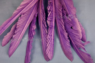 Декоративный Пучок из перьев, перо 25см/фиолетовый - купить в Междуреченске. Цена: 12.19 руб.