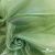 Ткань органза, 100% полиэстр, 28г/м2, шир. 150 см, цв. #27 зеленый - купить в Междуреченске. Цена 86.24 руб.