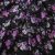 Плательная ткань "Фламенко" 20.1, 80 гр/м2, шир.150 см, принт растительный - купить в Междуреченске. Цена 241.49 руб.