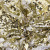 Трикотажное полотно, Сетка с пайетками, шир.130 см, #315, цв.-белый/золото - купить в Междуреченске. Цена 693.39 руб.