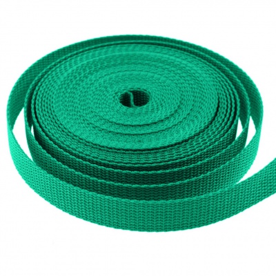 Стропа текстильная, шир. 25 мм (в нам. 50+/-1 ярд), цвет яр.зелёный - купить в Междуреченске. Цена: 397.52 руб.