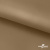 Ткань подкладочная Таффета 17-1327, антист., 54 гр/м2, шир.150см, цвет св.коричневый - купить в Междуреченске. Цена 65.53 руб.