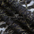 Кружевное полотно XD LACE 1-4, 80 гр/м2, шир.150см, цвет чёрный - купить в Междуреченске. Цена 245.94 руб.